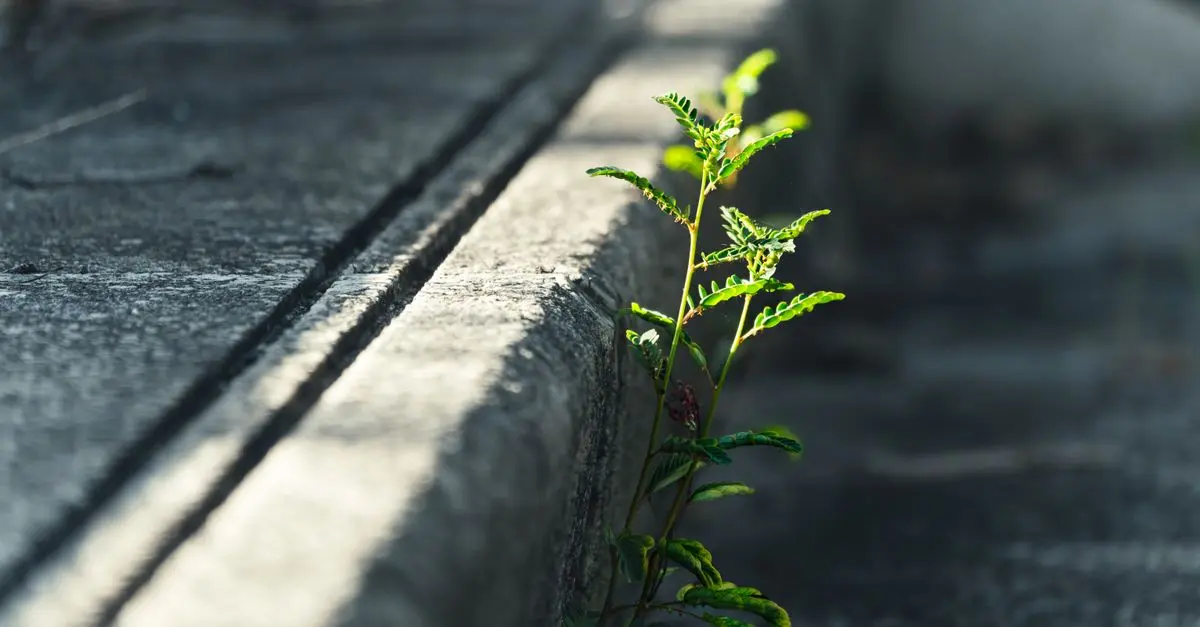 Les 5 attitudes à adopter pour renforcer votre résilience