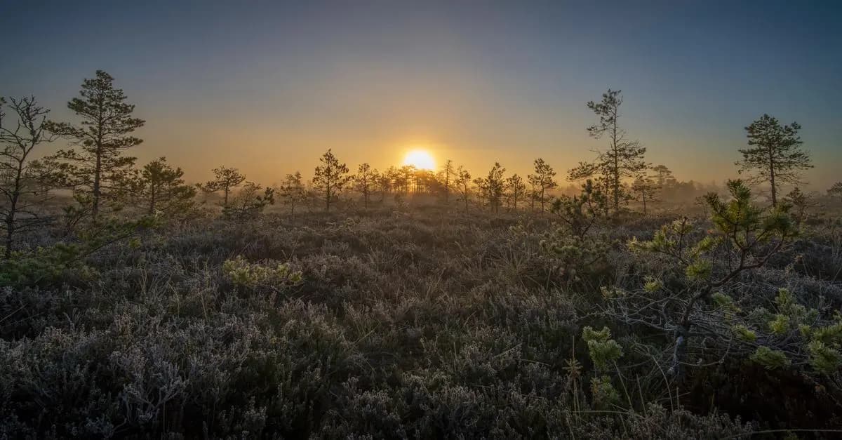 Les stratégies de résilience personnelle pour un bien-être durable