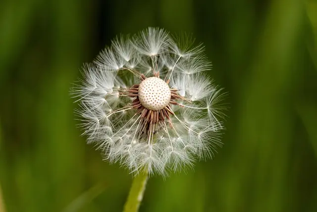 Comment la résilience personnelle se construit au fil du temps