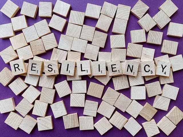 Les 5 meilleures techniques pour cultiver votre résilience personnelle
